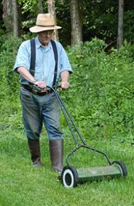 Grow a Beautiful Lawn without Chemicals or Fossil Fuels Image